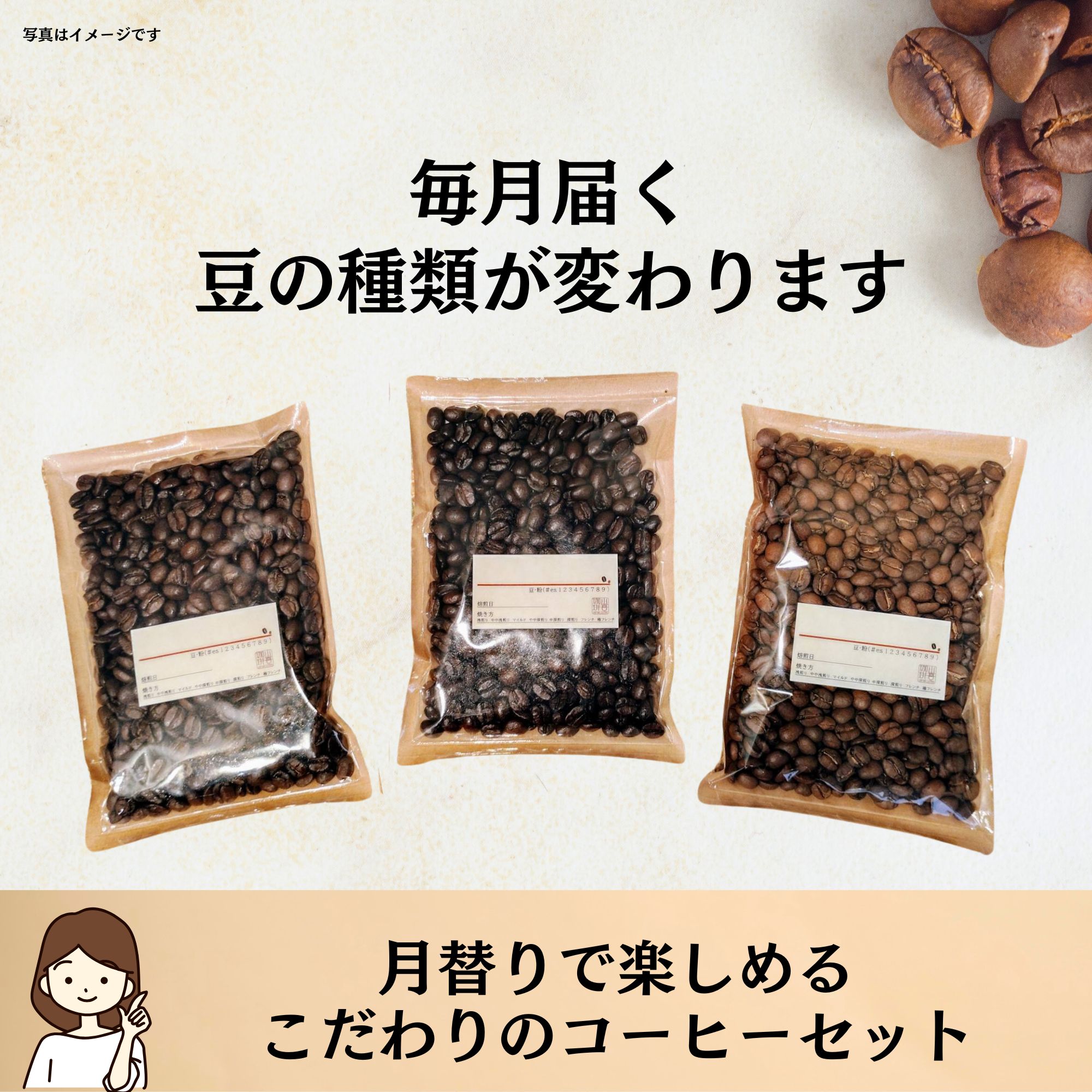 食事セット 複数パック６9食分 ZAIGLE ザイグルパーティ2 遠赤外線 卓上調理器 プレート付き
