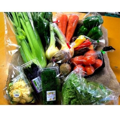 【Farm to Table】元気の出る沖縄の野菜セット（６〜８品）