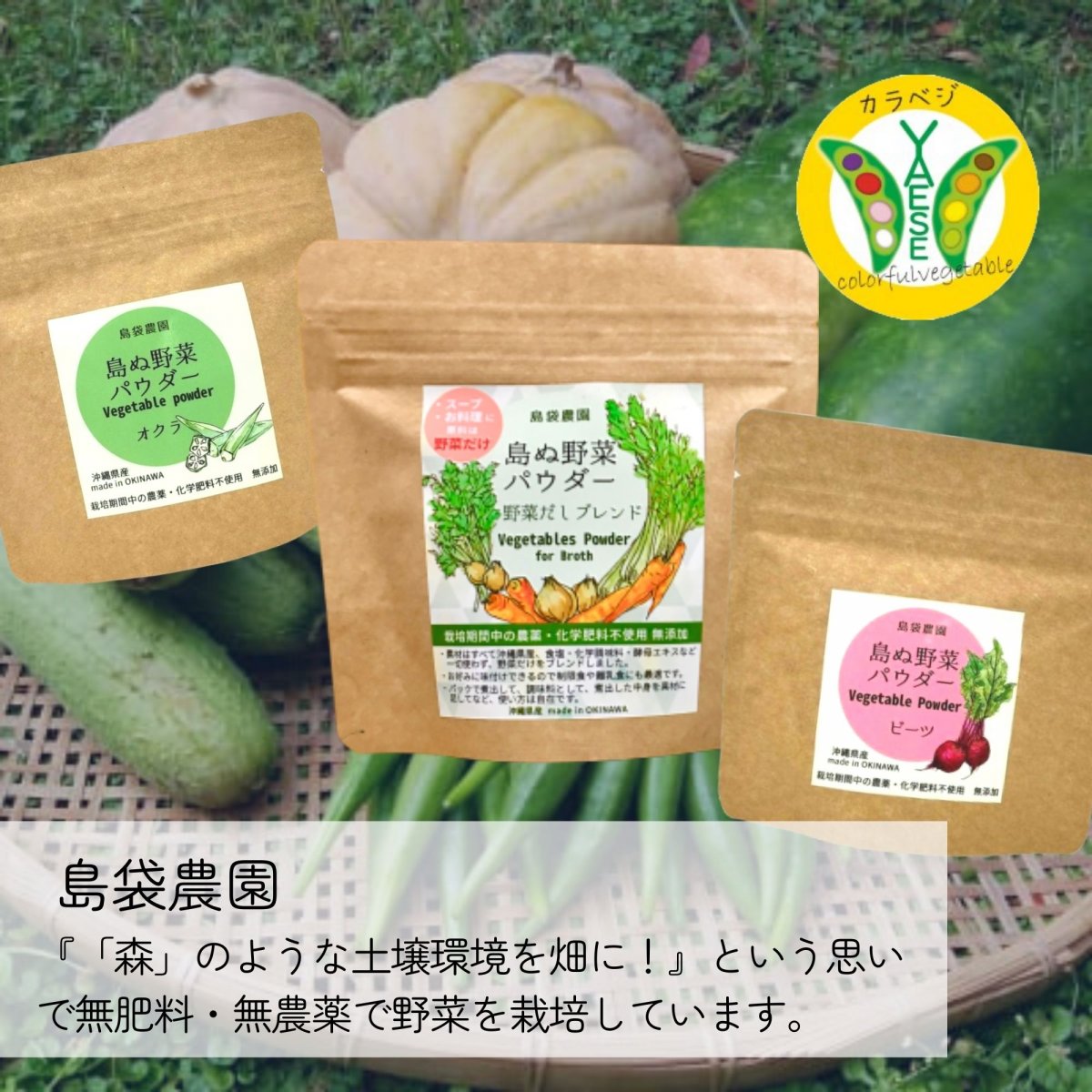 期間限定 沖縄県外発送 送料無料 ７点 島のめぐみセット A 島のめぐみ７点セット