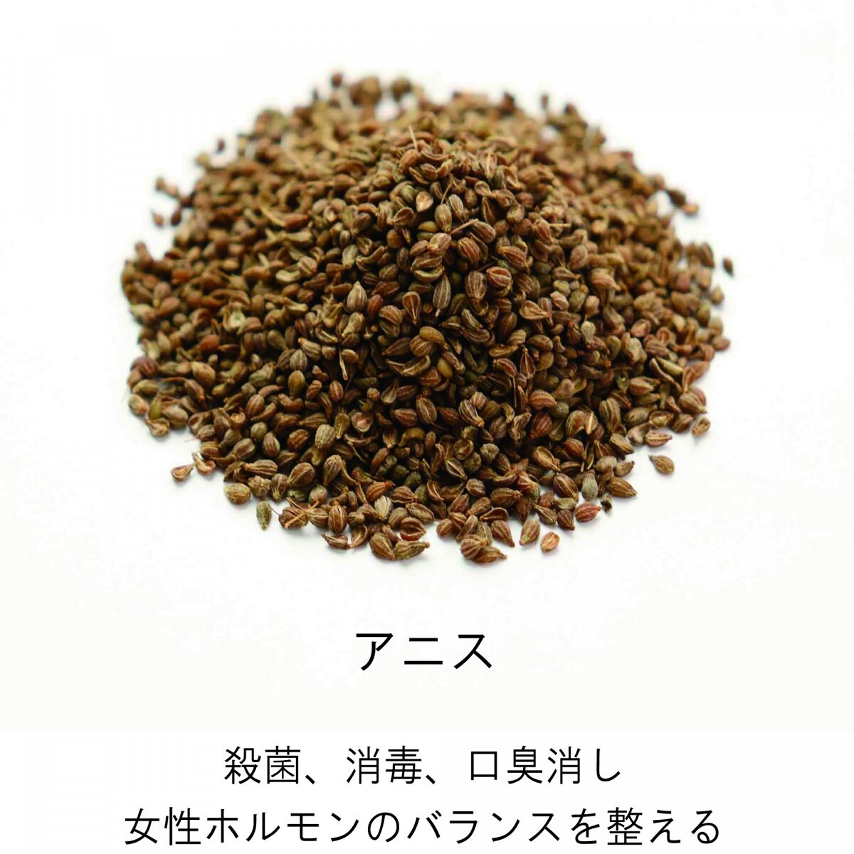 メルマガご登録時　海上自衛隊阪神基地現地払い限定　23種類スパイスハーブの健康カレーご購入チケット