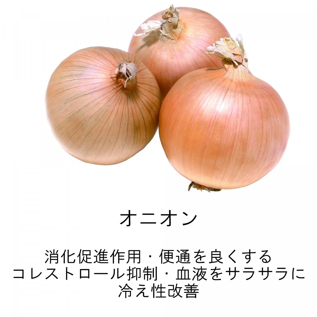 メルマガご登録時　海上自衛隊阪神基地現地払い限定　23種類スパイスハーブの健康カレーご購入チケット
