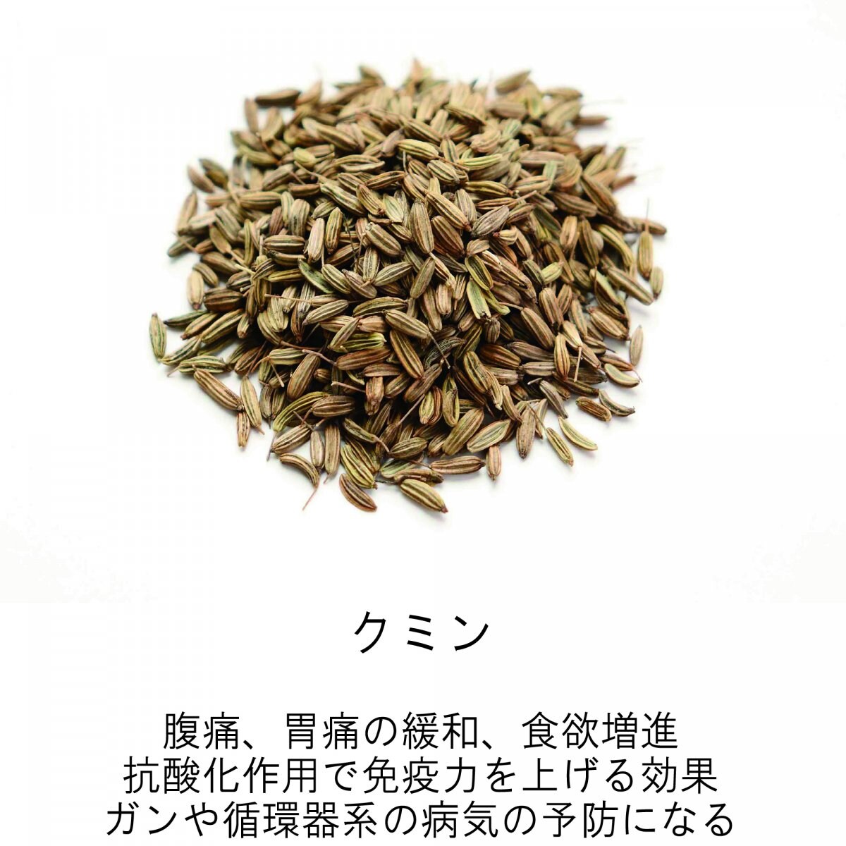 メルマガご登録時　海上自衛隊阪神基地現地払い限定　23種類スパイスハーブの健康カレーご購入チケット