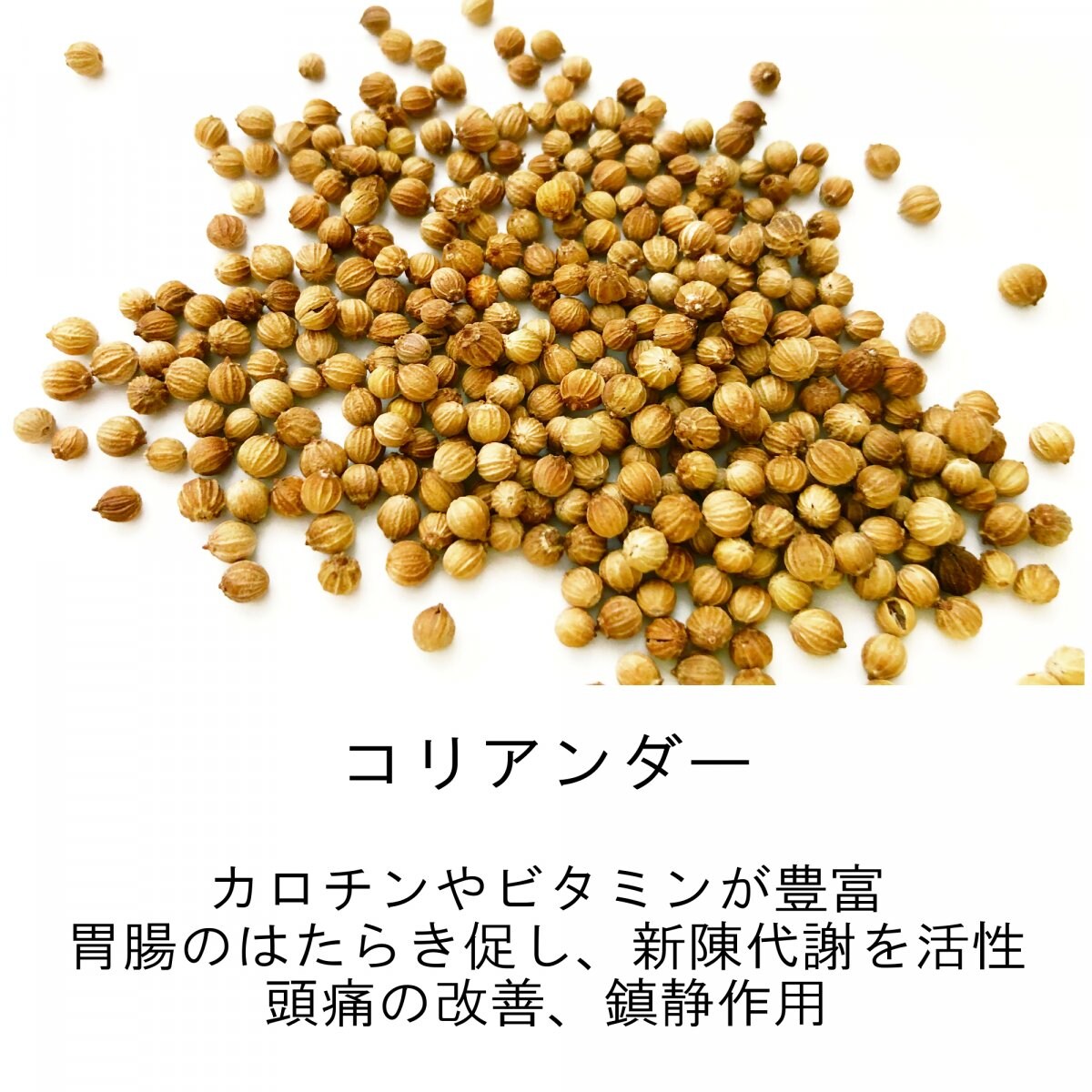 メルマガご登録時　海上自衛隊阪神基地現地払い限定　23種類スパイスハーブの健康カレーご購入チケット