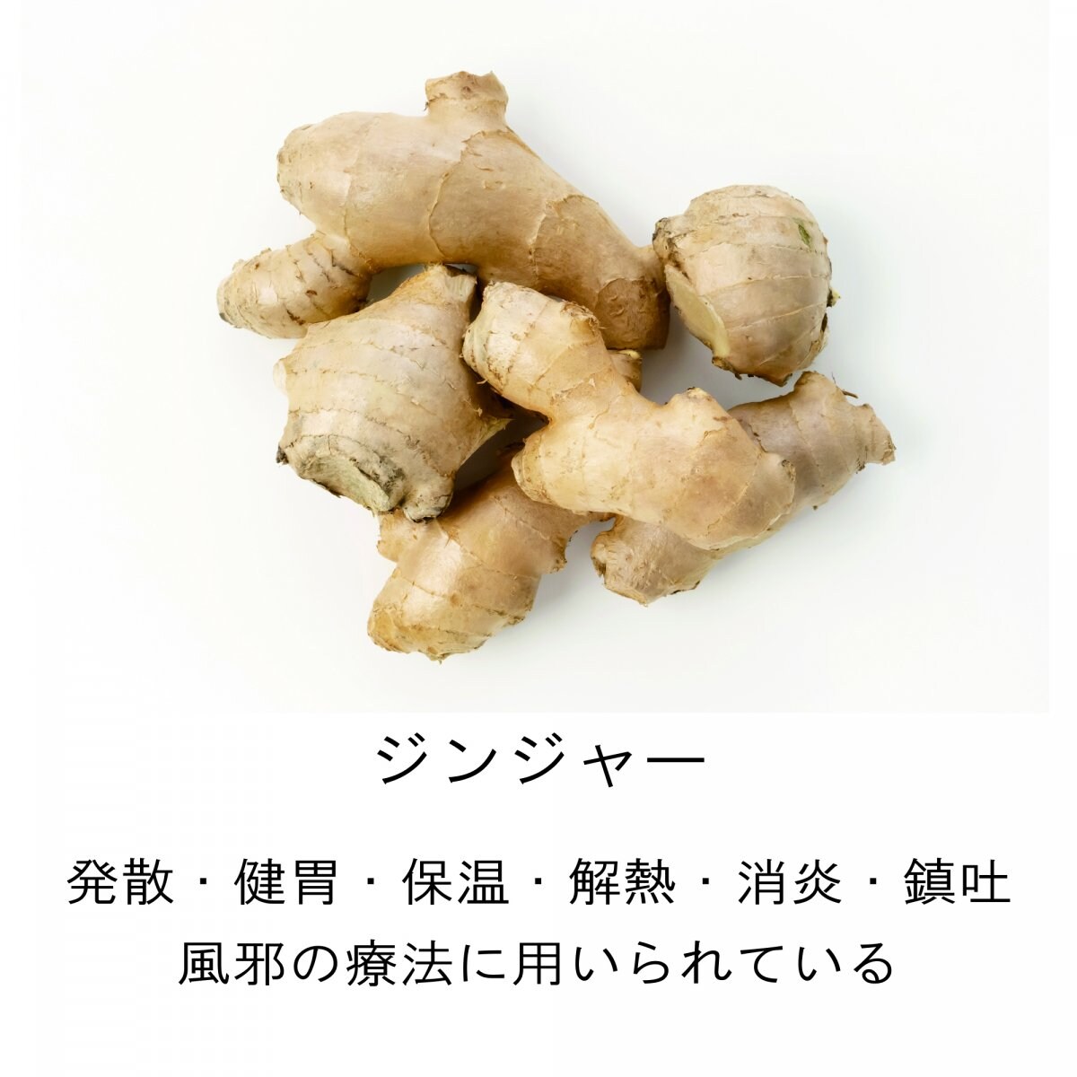 メルマガご登録時　海上自衛隊阪神基地現地払い限定　23種類スパイスハーブの健康カレーご購入チケット