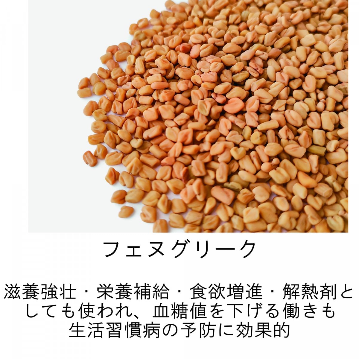 メルマガご登録時　海上自衛隊阪神基地現地払い限定　23種類スパイスハーブの健康カレーご購入チケット