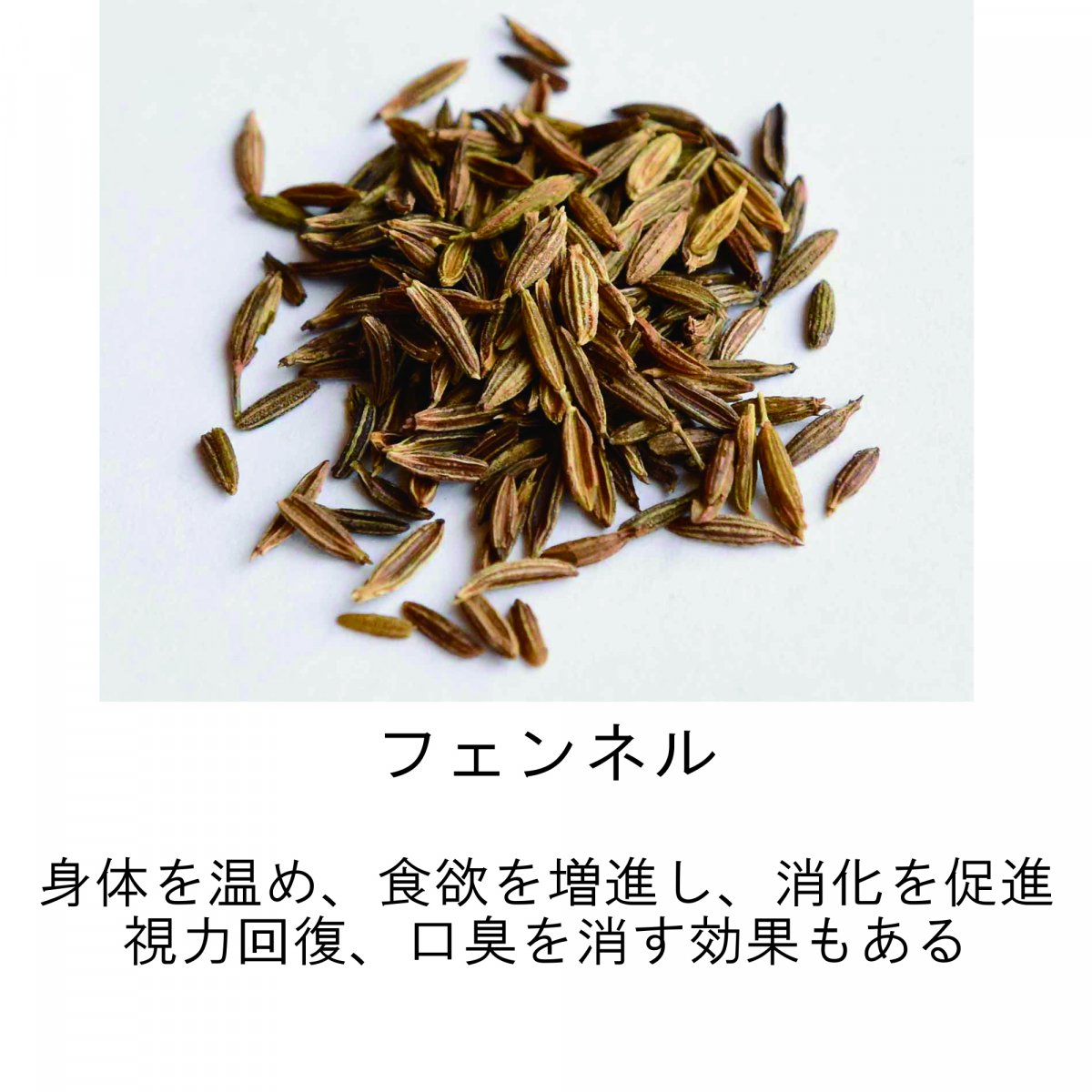 メルマガご登録時　海上自衛隊阪神基地現地払い限定　23種類スパイスハーブの健康カレーご購入チケット