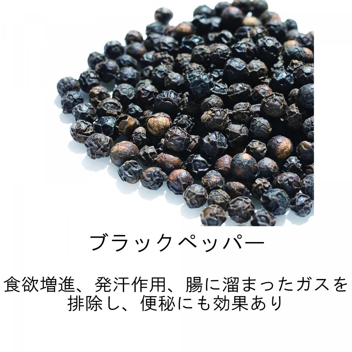 メルマガご登録時　海上自衛隊阪神基地現地払い限定　23種類スパイスハーブの健康カレーご購入チケット