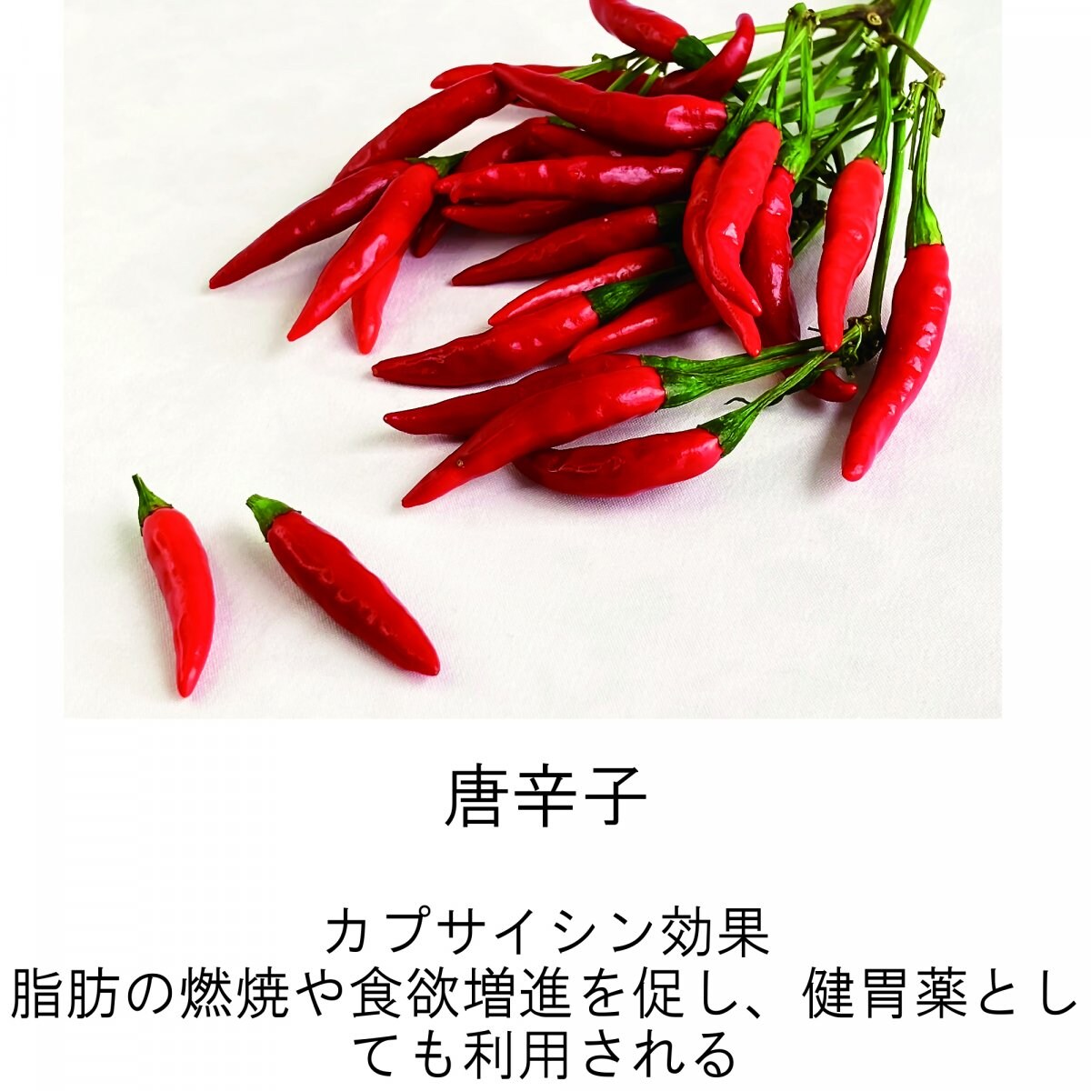 メルマガご登録時　海上自衛隊阪神基地現地払い限定　23種類スパイスハーブの健康カレーご購入チケット