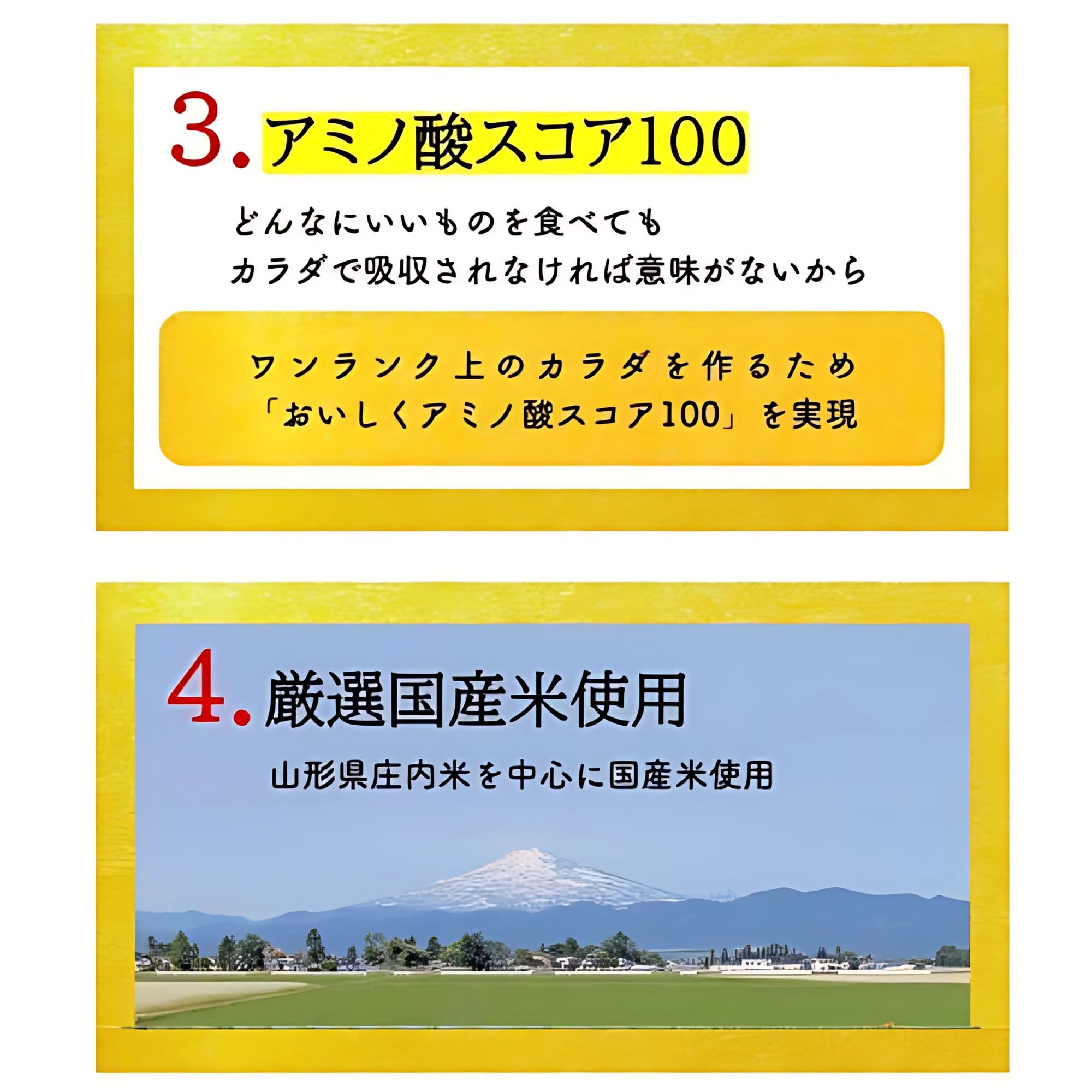 お米で作ったプロテインチップス〈MIRAI Onigiri Pro ミライオニギリ