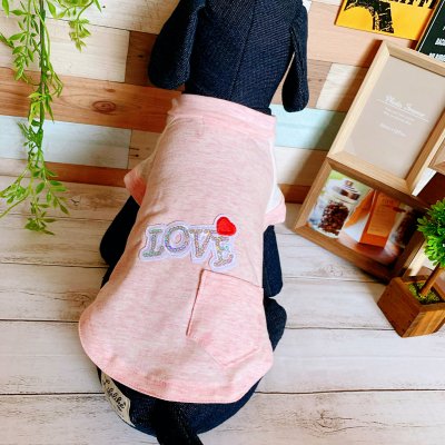 【ピンク】レース袖ラグランTシャツ
