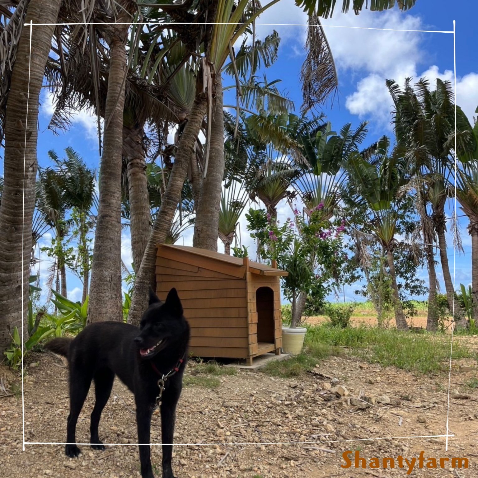 シャンティファームふれあいファミリー【1１月はじまり】