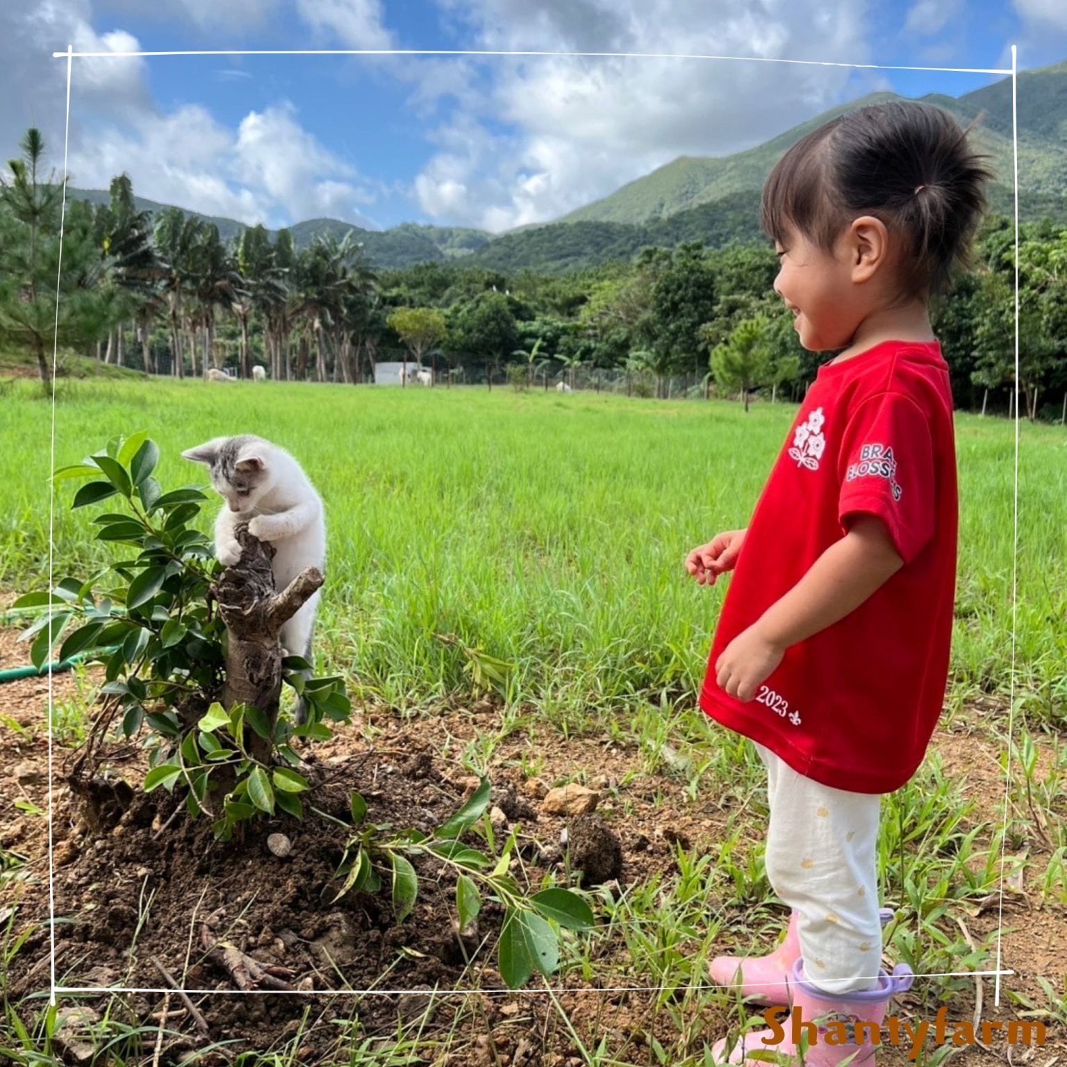 シャンティファームふれあいファミリー【1１月はじまり】