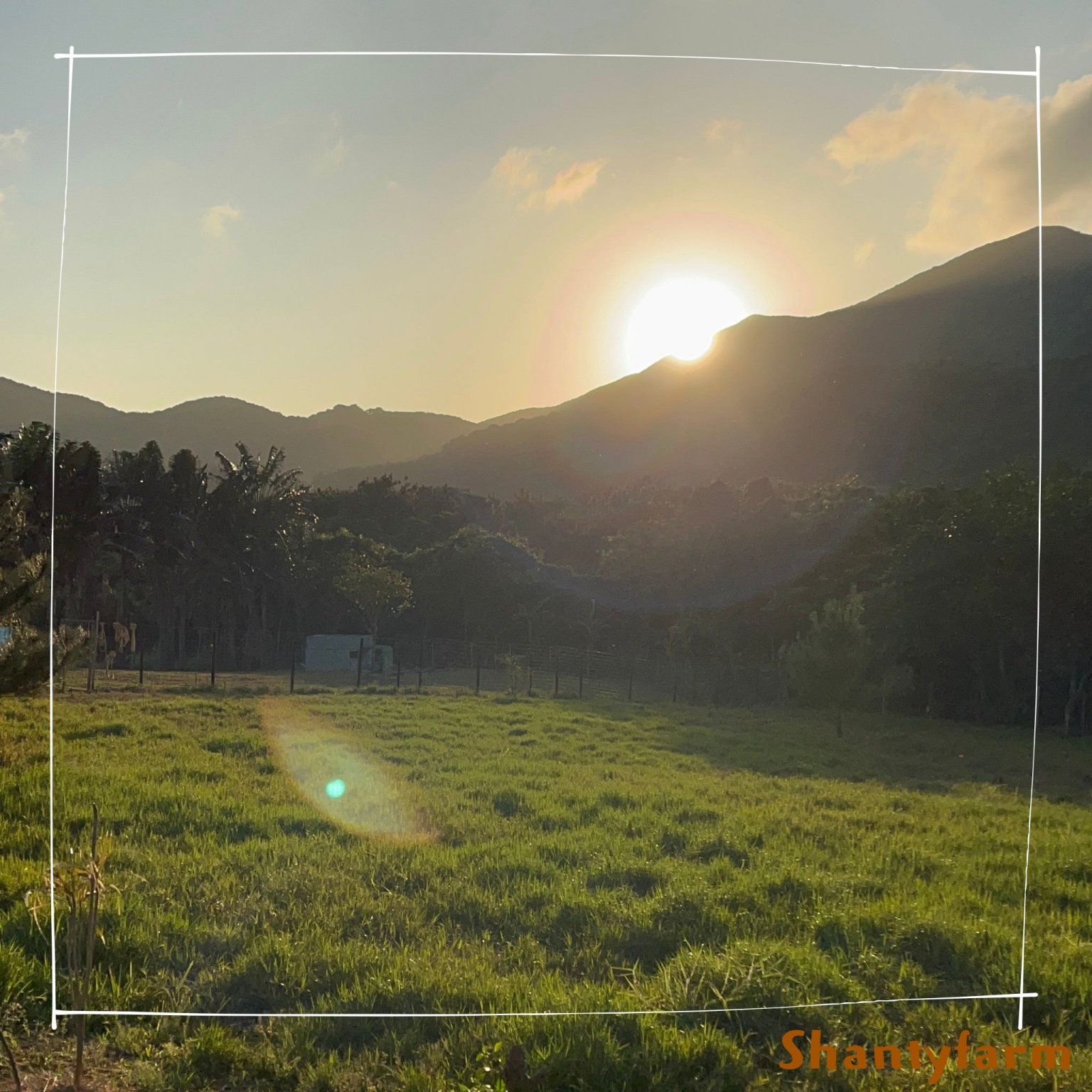 シャンティファームふれあいファミリー【1１月はじまり】