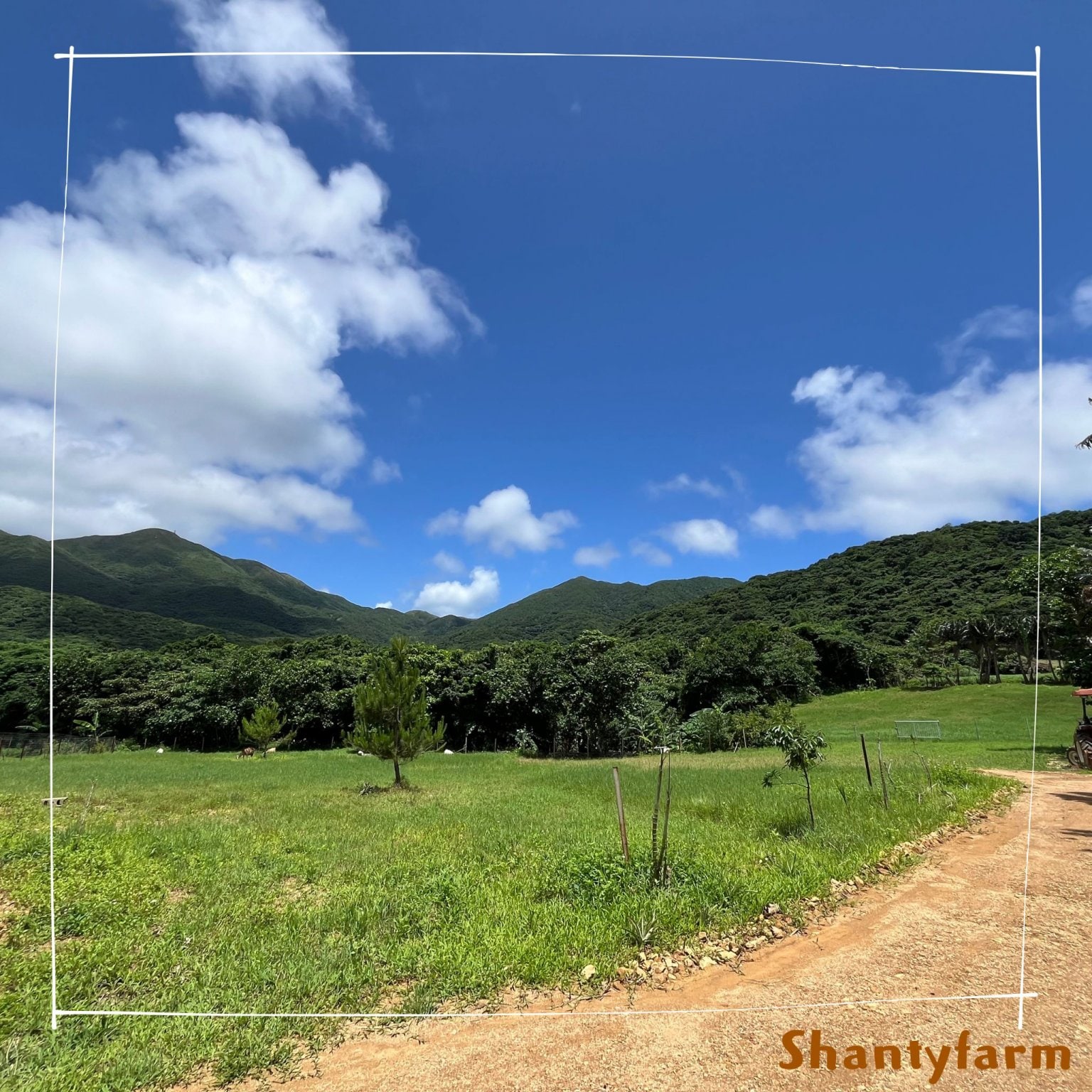 シャンティファームふれあいファミリー【1１月はじまり】