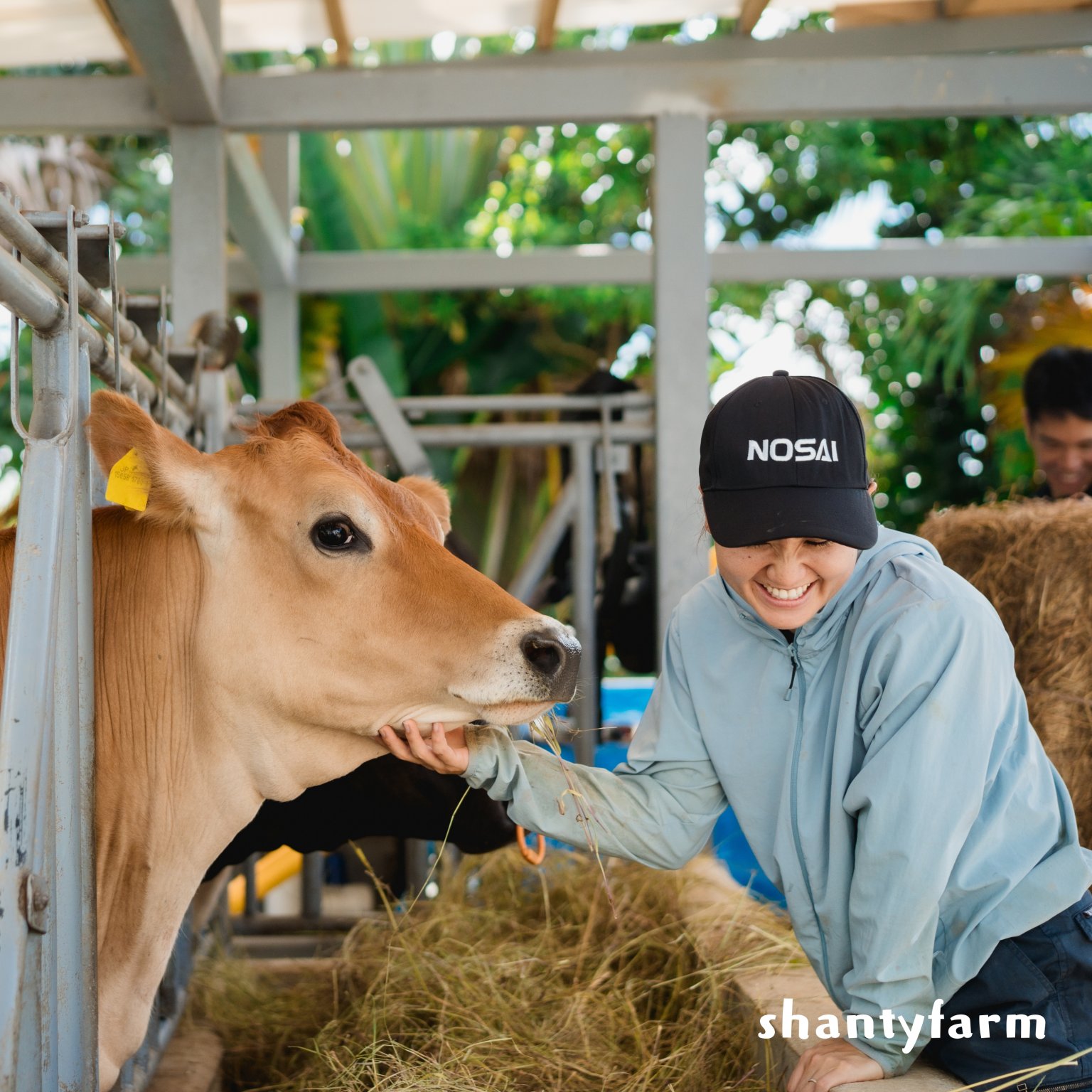 石垣島産 無農薬 島バナナ　１ｋｇ（自然栽培）│Shanty Farm🍌🌿