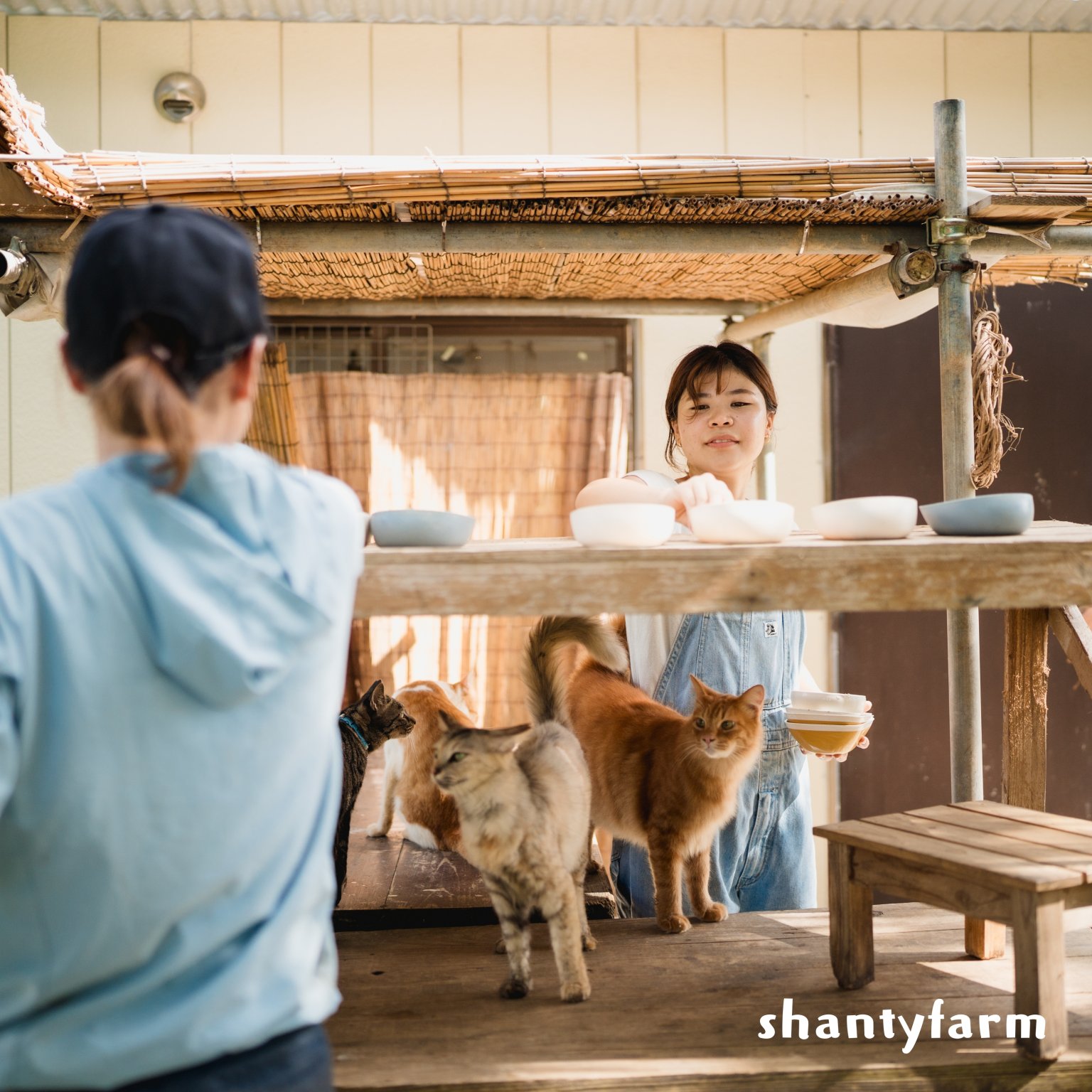 石垣島産 無農薬 島バナナ　１ｋｇ（自然栽培）│Shanty Farm🍌🌿