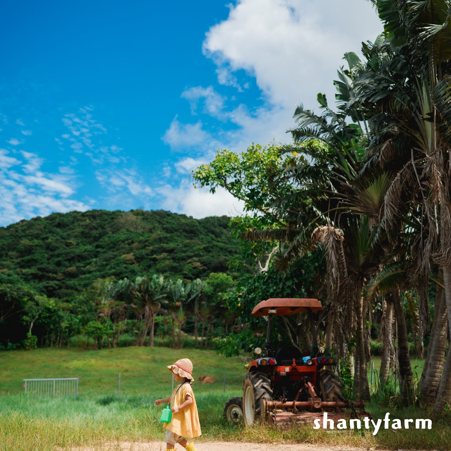 石垣島産 無農薬 島バナナ　１ｋｇ（自然栽培）│Shanty Farm🍌🌿
