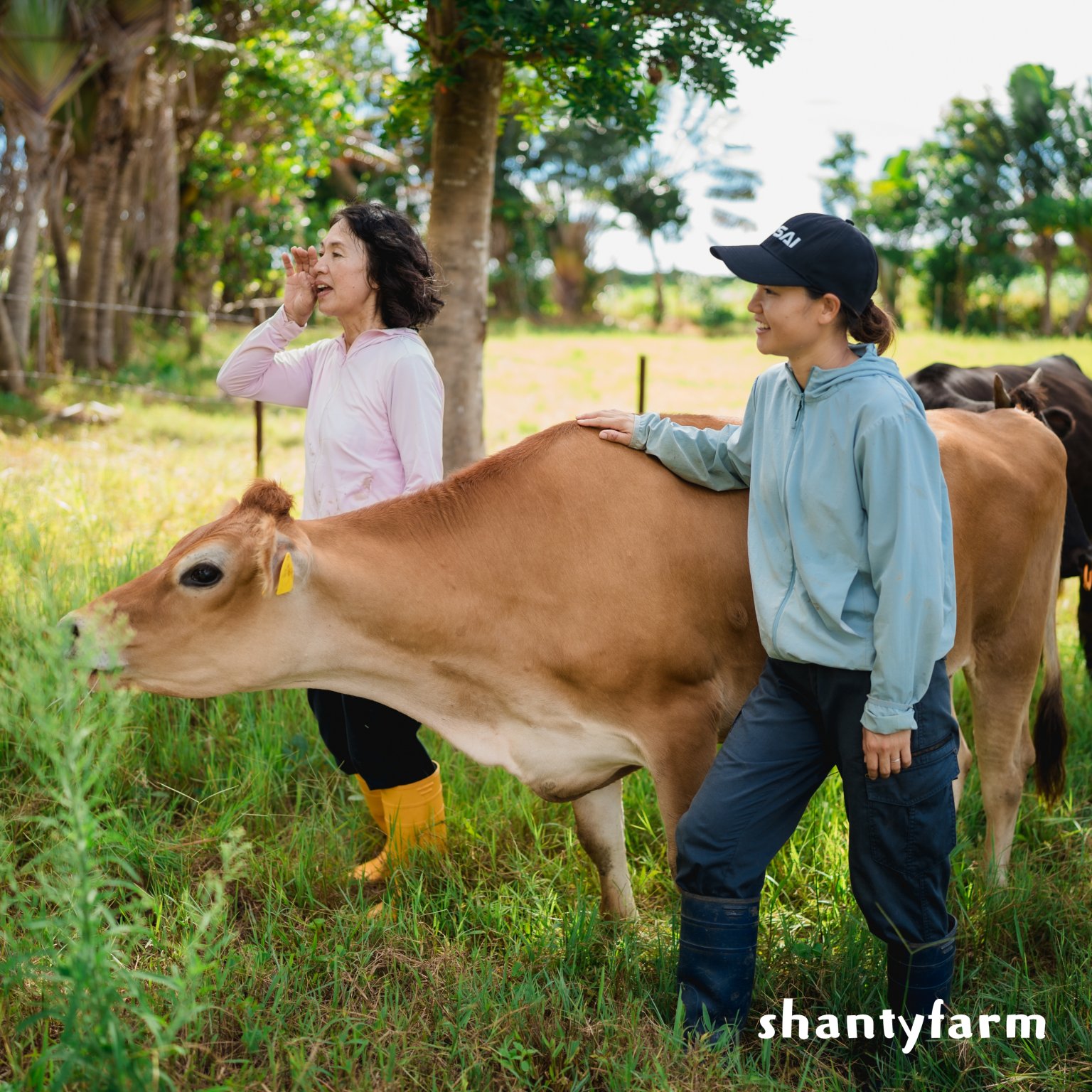 石垣島産 無農薬 島バナナ　１ｋｇ（自然栽培）│Shanty Farm🍌🌿
