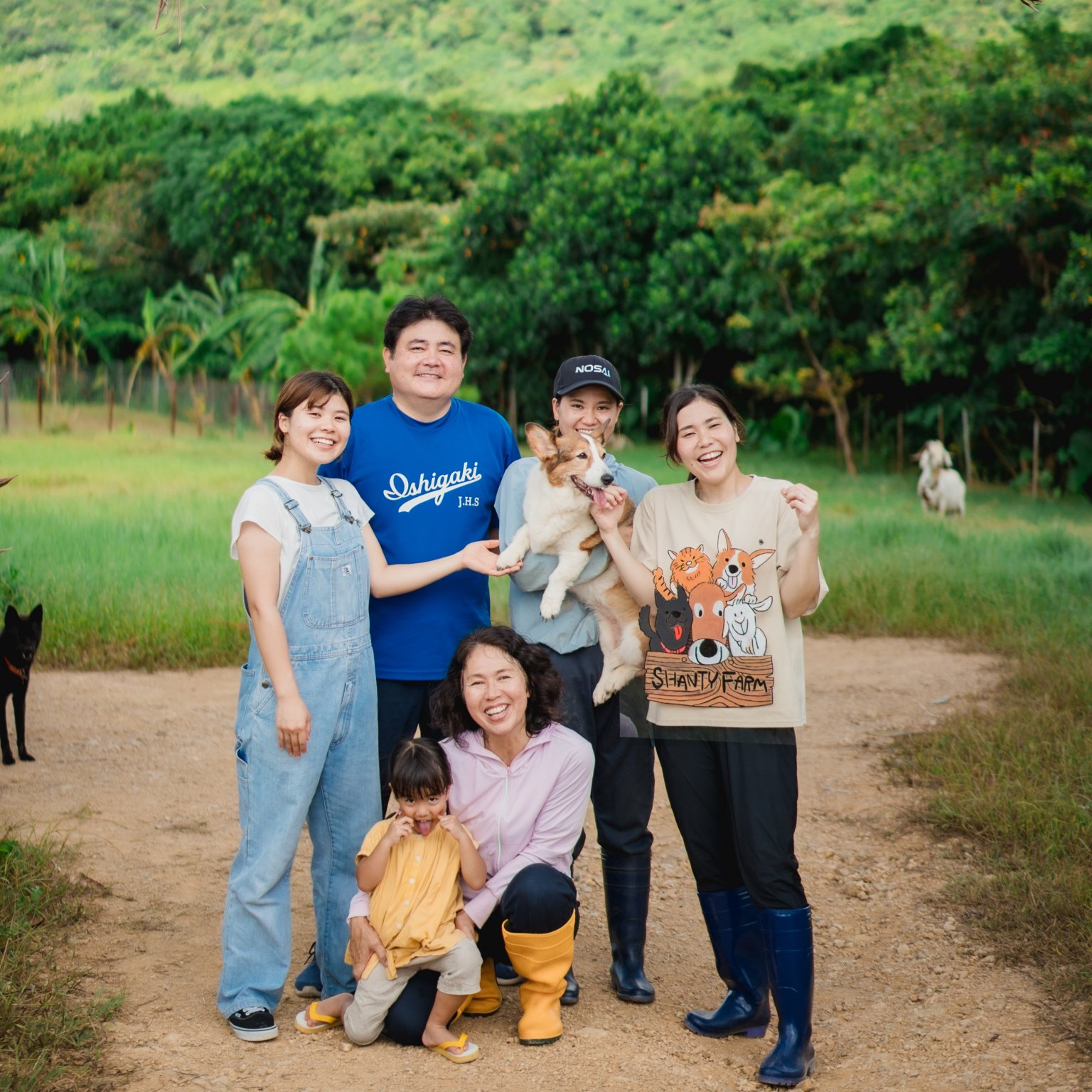石垣島産 無農薬 島バナナ　１ｋｇ（自然栽培）│Shanty Farm🍌🌿