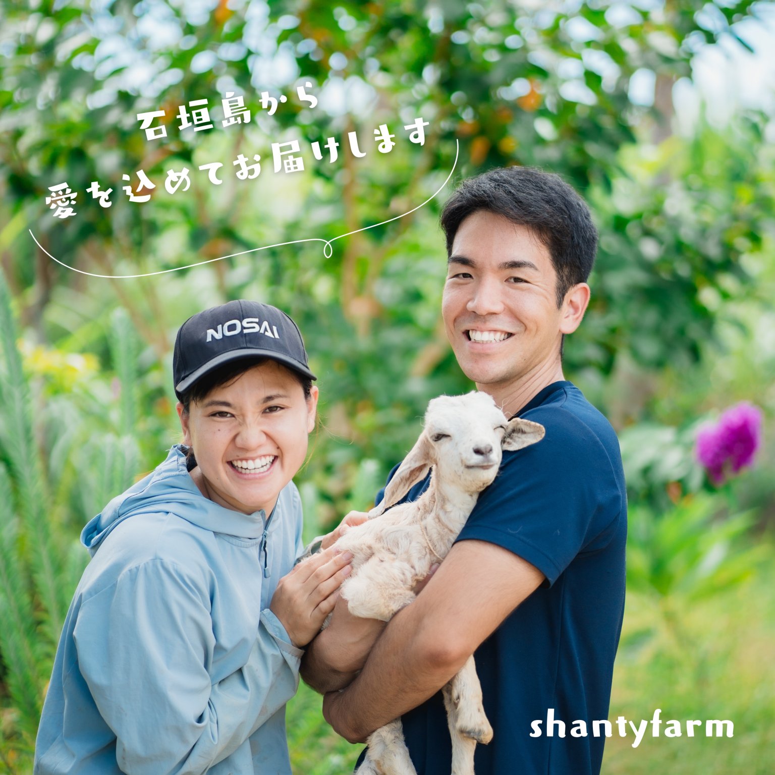 石垣島産 無農薬 島バナナ　１ｋｇ（自然栽培）│Shanty Farm🍌🌿