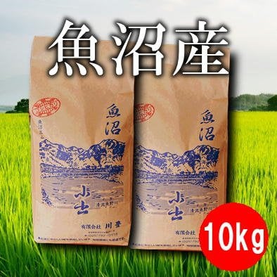 【地域限定】10kg魚沼産コシヒカリ|5kg×2(令和元年産)