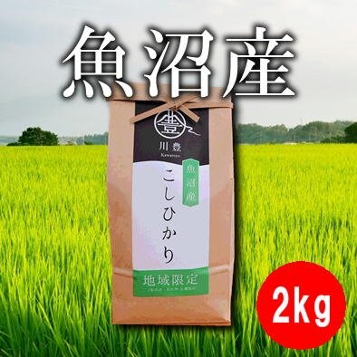 【地域限定】2kg魚沼産コシヒカリ(令和元年産)