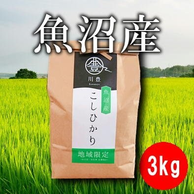 【地域限定】3kg魚沼産コシヒカリ(令和元年産)