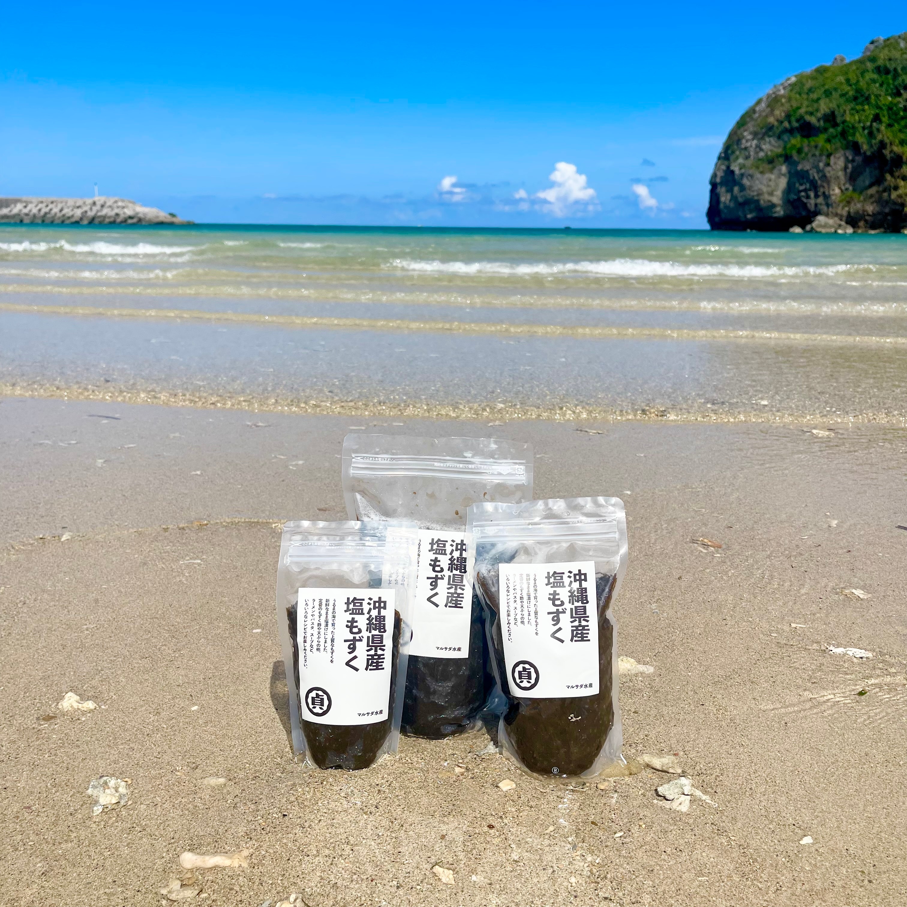 お手軽500gパック》塩もずく1.5kg セット（500g×3袋）【 送料