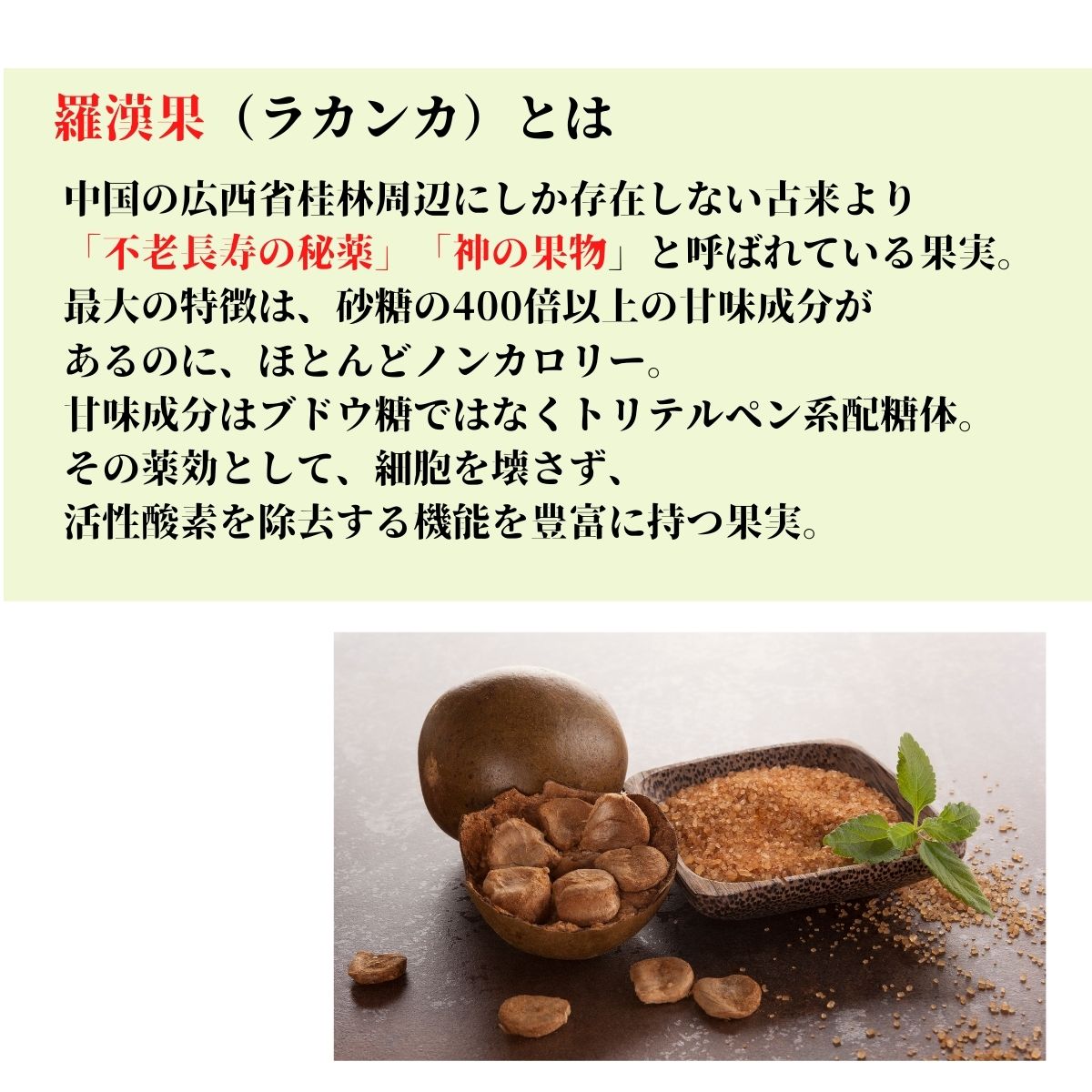 送料無料】森のおやつ 天然カラメルナッツ RaKaMeL nuts