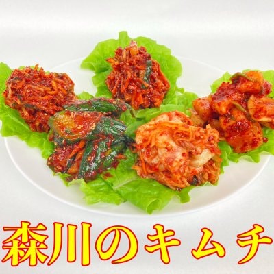 お試しキムチ5種類小分けセット×2組【森川食品】