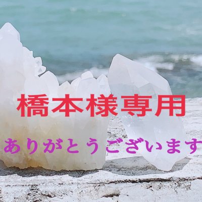橋本様専用