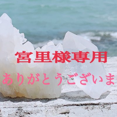 宮里様専用