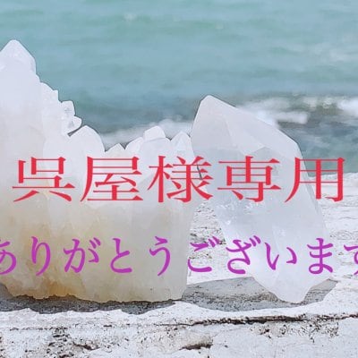 呉屋様専用