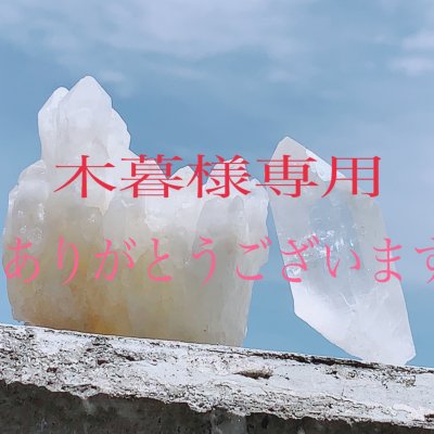 木暮様専用