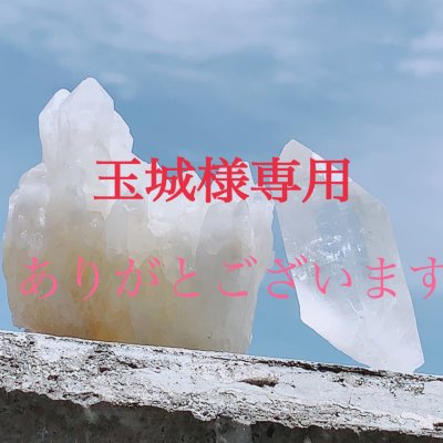 玉城様専用