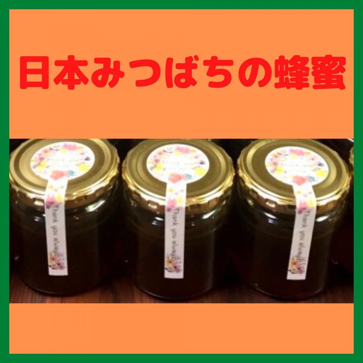 日本みつばちの蜂蜜 (210g)　3個セット