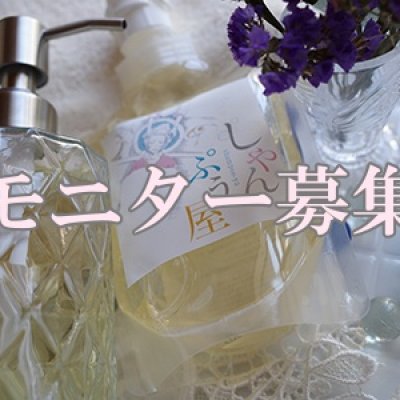 『しゃんぷう屋 ヘアーアンドボディーシャンプー』モニター募集1本 / 2,000円