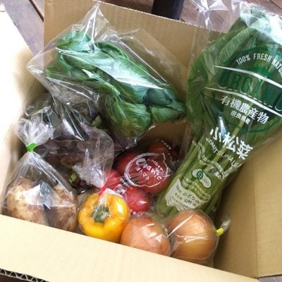 <子供弁当支援付き>有機農家直送の新鮮旬野菜詰め合わせセット