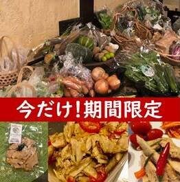 有機野菜とヴィーガンチキンフィレセット