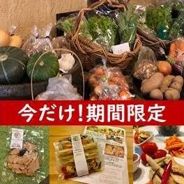 有機野菜とナチュラル惣菜セット