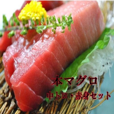 <水産物応援商品> 2月26日迄のご注文分は、送料無料!豊洲市場より 中トロ・赤身セット 冷凍本マグロ 各1柵250g~300g 3〜4人前