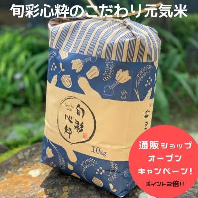 【新米大特価!】幻の純血種のフリー米!信州松本・旬彩心粋コシヒカリ10kg