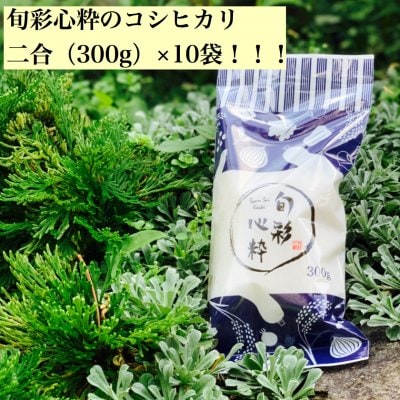 幻の純血種のフリー米!信州松本・旬彩心粋コシヒカリ2合×10袋