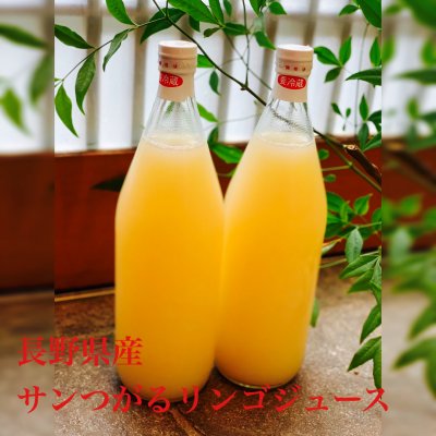 長野県産!旬彩心粋のサンつがるリンゴジュース1ℓ×2本set