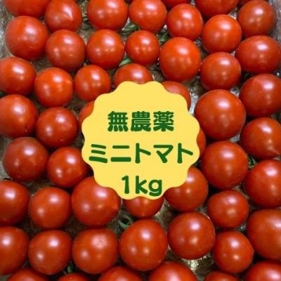無農薬ミニトマト 1kg 1,350円(新潟県魚沼産)