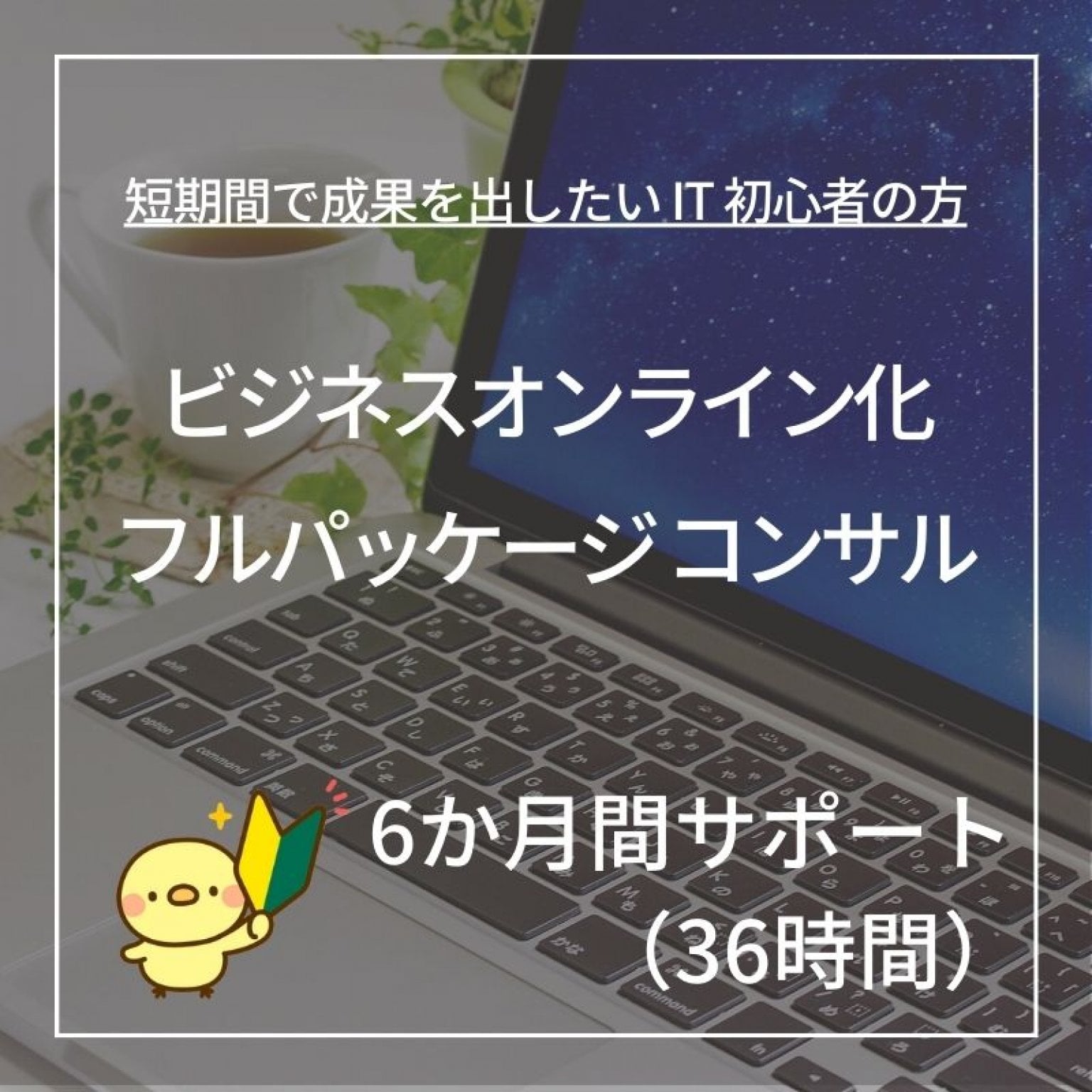 ビジネスオンライン化 フルパッケージ コンサル　6か月間サポート （36時間）
