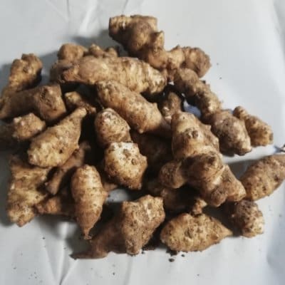 菊芋 3kg