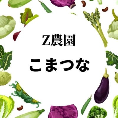 小松菜　11月4日開催ツクツクマルシェ限定チケット