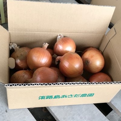 淡路島玉ねぎ(サイズ混)3kg/送料込
