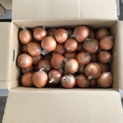 【終了しました】淡路島玉ねぎ(サイズ混)20kg/送料込